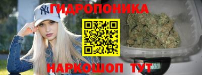 винт Краснодар