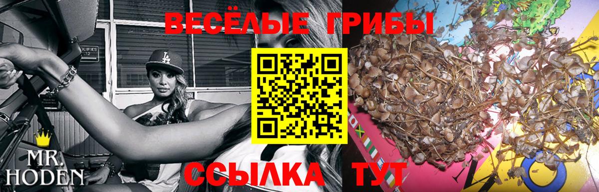 Псилоцибиновые грибы Magic Shrooms  Вход с VPN  Ипатово 
